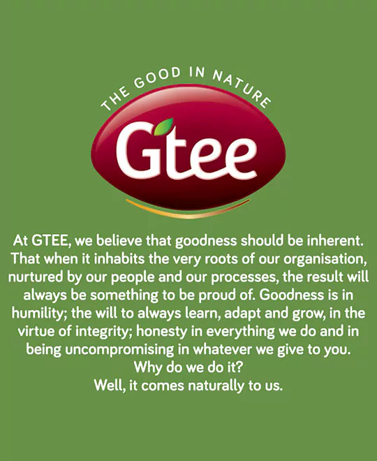 GTEE Green Tea Leaves Can, 250g GTEE Green Tea Leaves Can, 250g